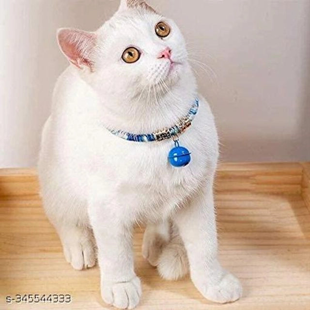 ABS Plastic Coller Belt for Pet (Multicolor)